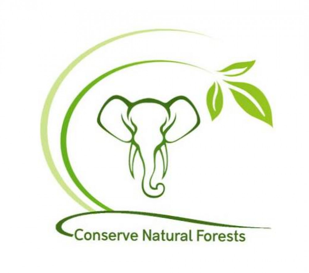 temporary-c728d408a28698243362c35719e16c64