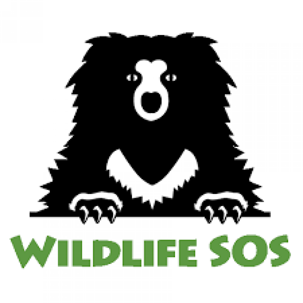 temporary-b7b8a3ecd5ac13e47612dc58871df080